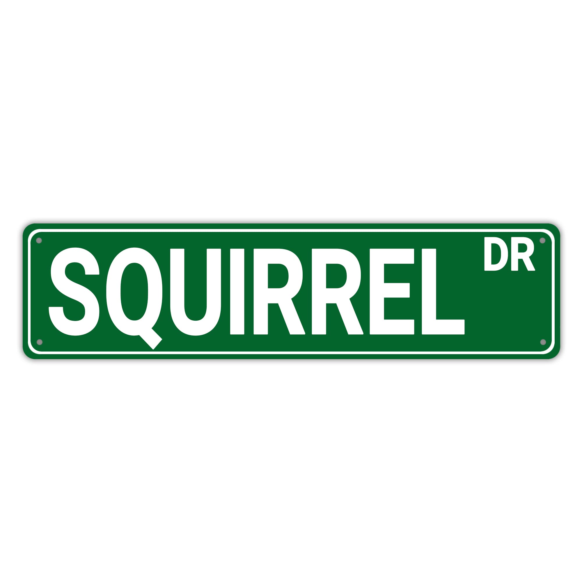 Metal Squirrel Dr Vintage Sign Retro Tin Art Plaque Aluminum Metal Sign for Bedroom Kitchen Garden Wall Pub Club Coffee Hanging Decor 4x16 Inch