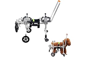 Exceptional 4 Wheel Dog Wheelchair for Enhanced Mobility and Relief