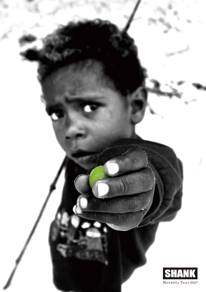 その他 Honesty Tour 2017 (DVD) Amazon.co.jp: Honesty Tour 2017 (DVD) : SHANK: DVD