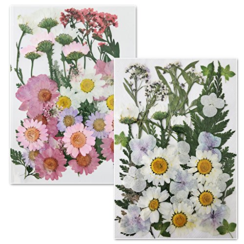 Set Of 4 Pink And White Real Pressed Flowers Mixed Pack With Flower Bookmarks Multiple Dry Flower Diy Flower #TOP2