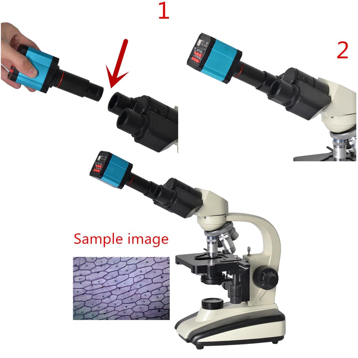 macchina fotografica 1080P@60FPS USB HDMI C-Mount del microscopio 16MP per ispezione scientifica industriale