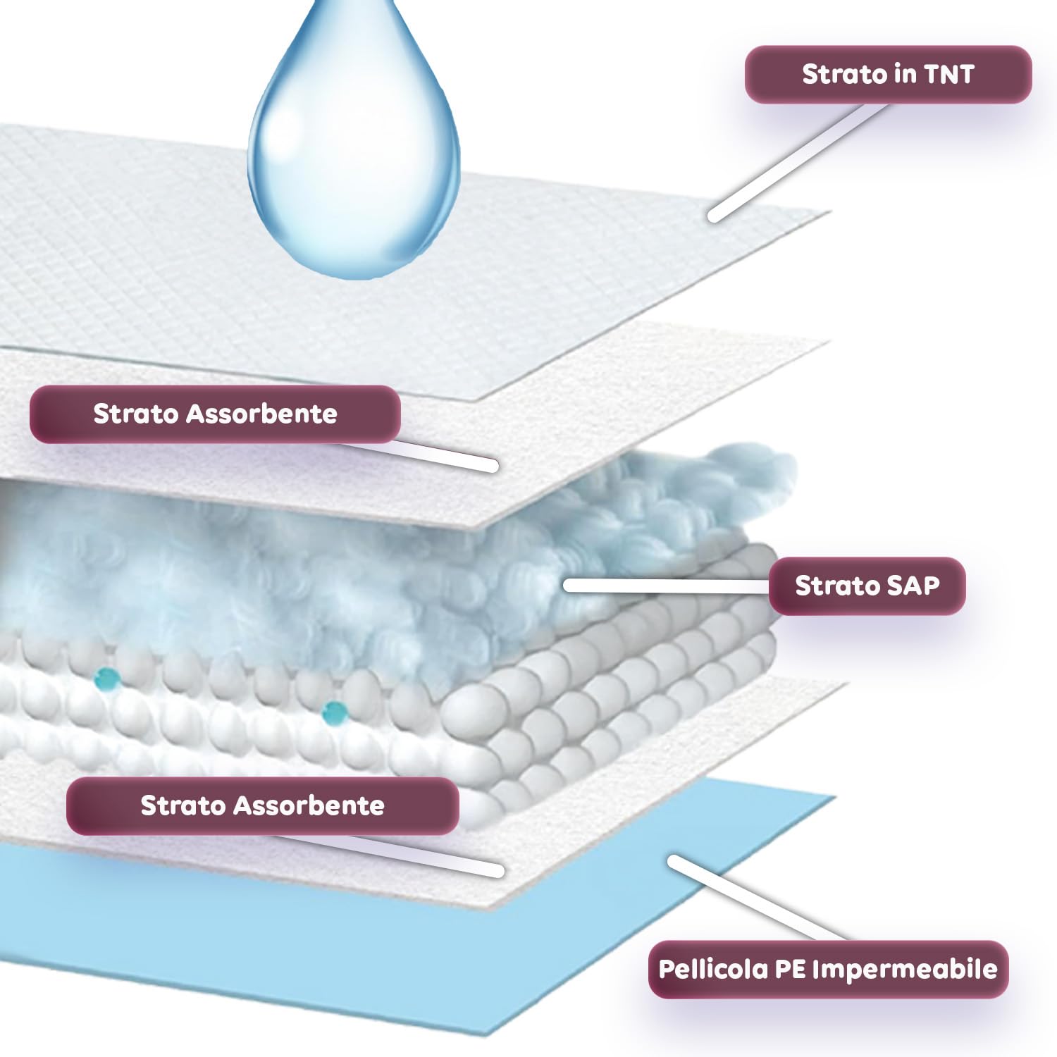 Avilia – Set Traversine Cani con Adesivi Anti-Odore, Assorbenza SAP Potenziata, Uso per Addestramento e Supporto Igienico Domestico, Dermatologicamente Sicure (150, Essential 60x90 cm)