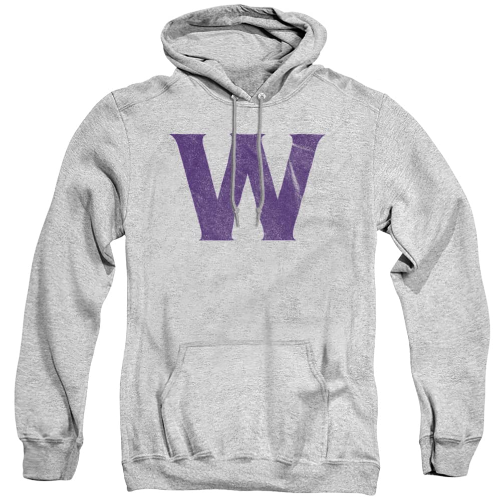 LOGOVISION Official Collegiate Distressed Primary Logo Adult Pullover Hoodie Collection — view 261