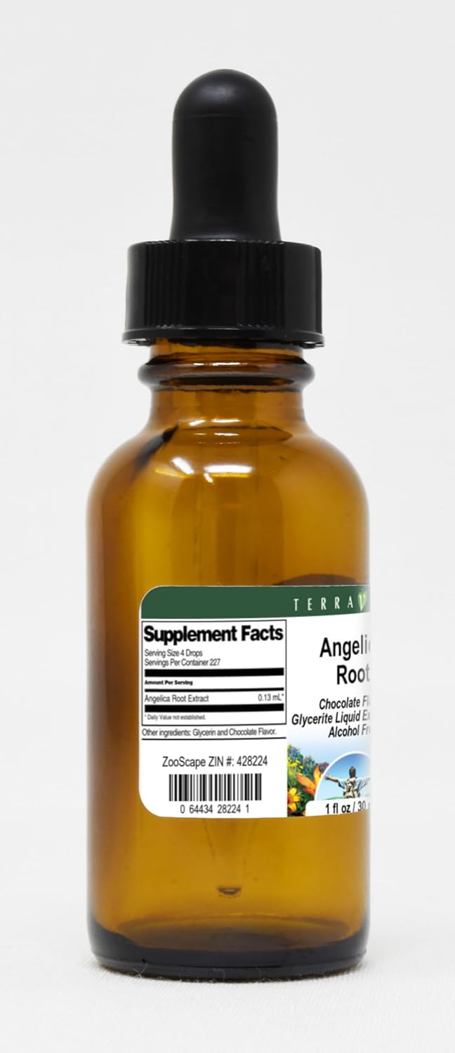 Angelica Root - Glycerite Liquid Extract (1:5) - Chocolate Flavored (1 fl oz, ZIN: 428224) - 2 Pack