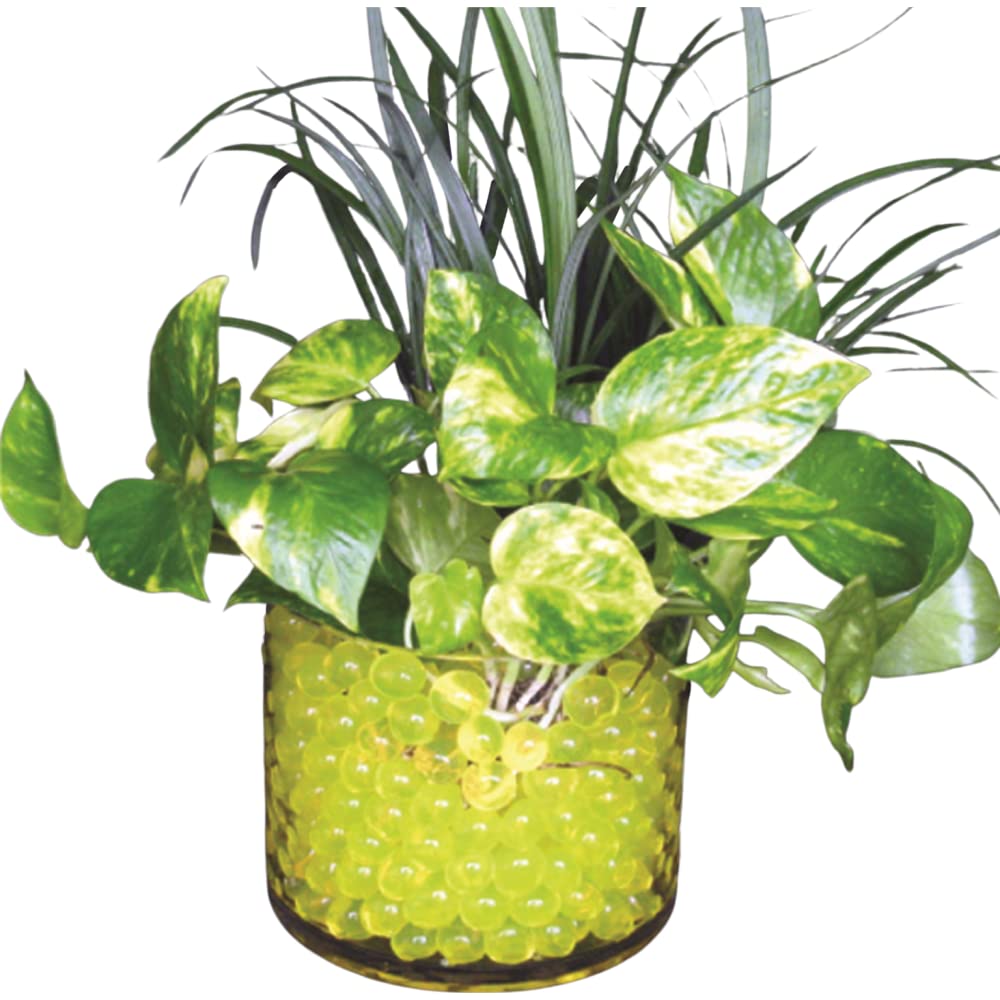 Yellow Water Beads for Vase Fillers 1 LB Bag Non-Toxic Expand to 1/2