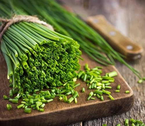 1000 Semi di Erba Cipollina Allium Schoenoprasum, 1000 Semi, Pianta Aromatica Ricca di Vitamine, chives seeds