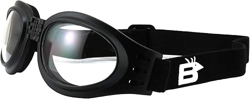 Miniatura 8 de 2 pares de gafas Birdz Parrot negro plegables acolchadas para motocicleta, lentes transparentes y ahumadas para hombres y mujeres