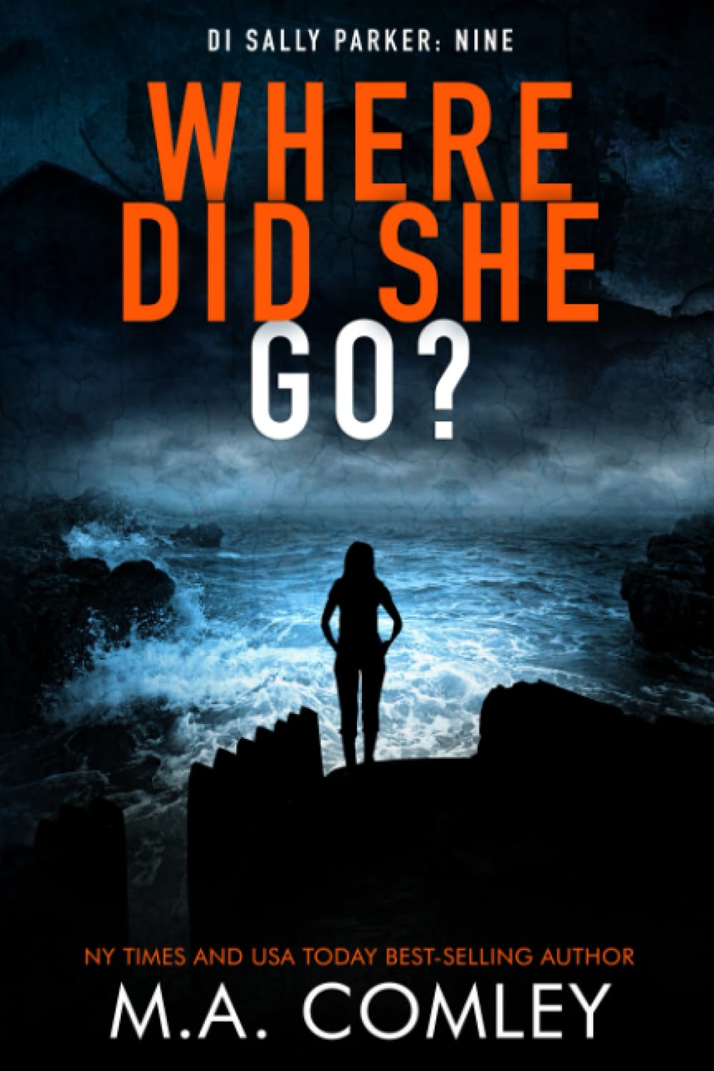 Where Did She Go?: 9 (DI Sally Parker)