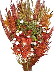 Flores Secas,Buquê De Flores Secas E Desidratadas,Tamanho Aproximadamente: 40 Cm (Laranja)