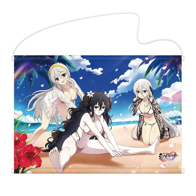 Amazon.co.jp: シノビマスター 閃乱カグラ NEW LINK B2タペストリー 雪