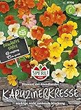  Kapuzinerkresse Diamant des Abendlandes