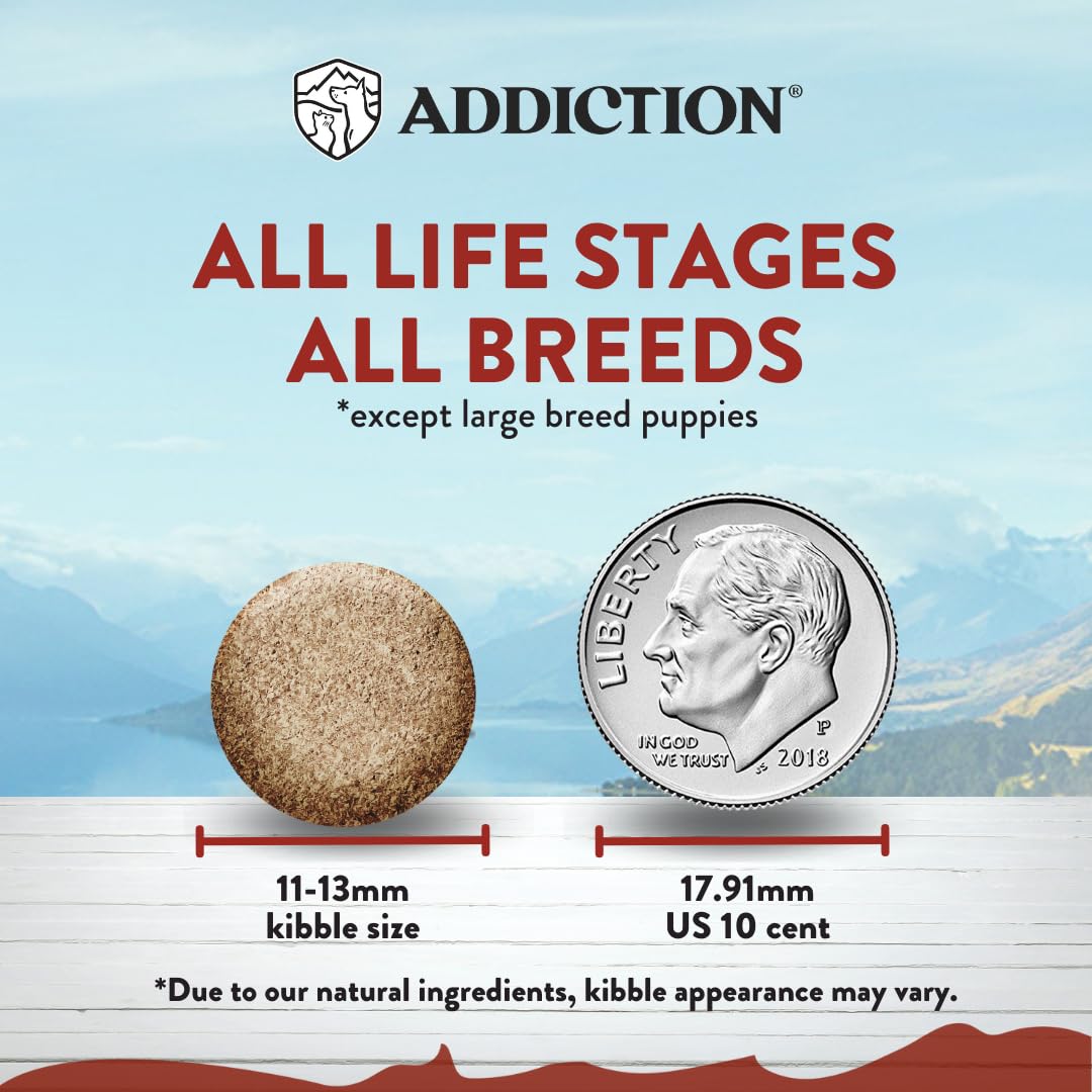Amazon.co.jp: アディクション(Addiction) ドッグフード ビバ
