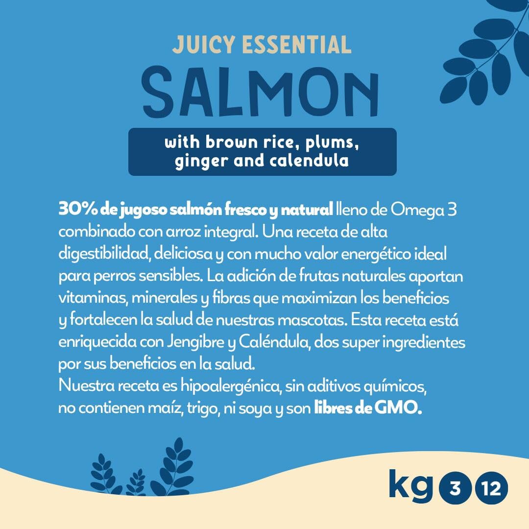 Fillip Mango Pienso Húmedo para Perros Adultos, Salmón con Arroz, Ciruelas y Caléndula, Todas Las Razas, 12 kg