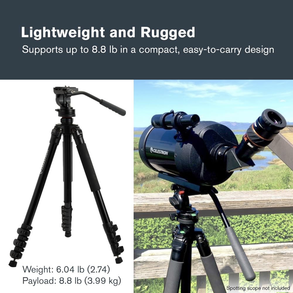 Celestron 82052 Regal Premium Statyw do lunet obserwacyjnych, lornetek, aparatów fotograficznych i małych teleskopów, czarny