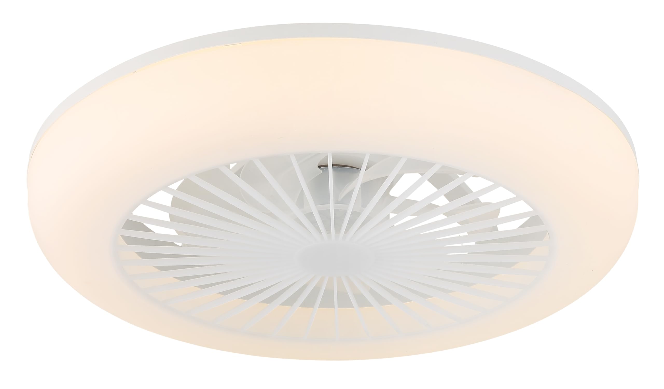 Deckenventilator Kunststoff weiß matt, Kunststoff transparent, Kunststoff opal, dimmbar, mehrere Stufen über Wandschalter, Farben fixierbar, Memoryfunktion, Nachtlicht, Timer, Fernbedienung, Batterie