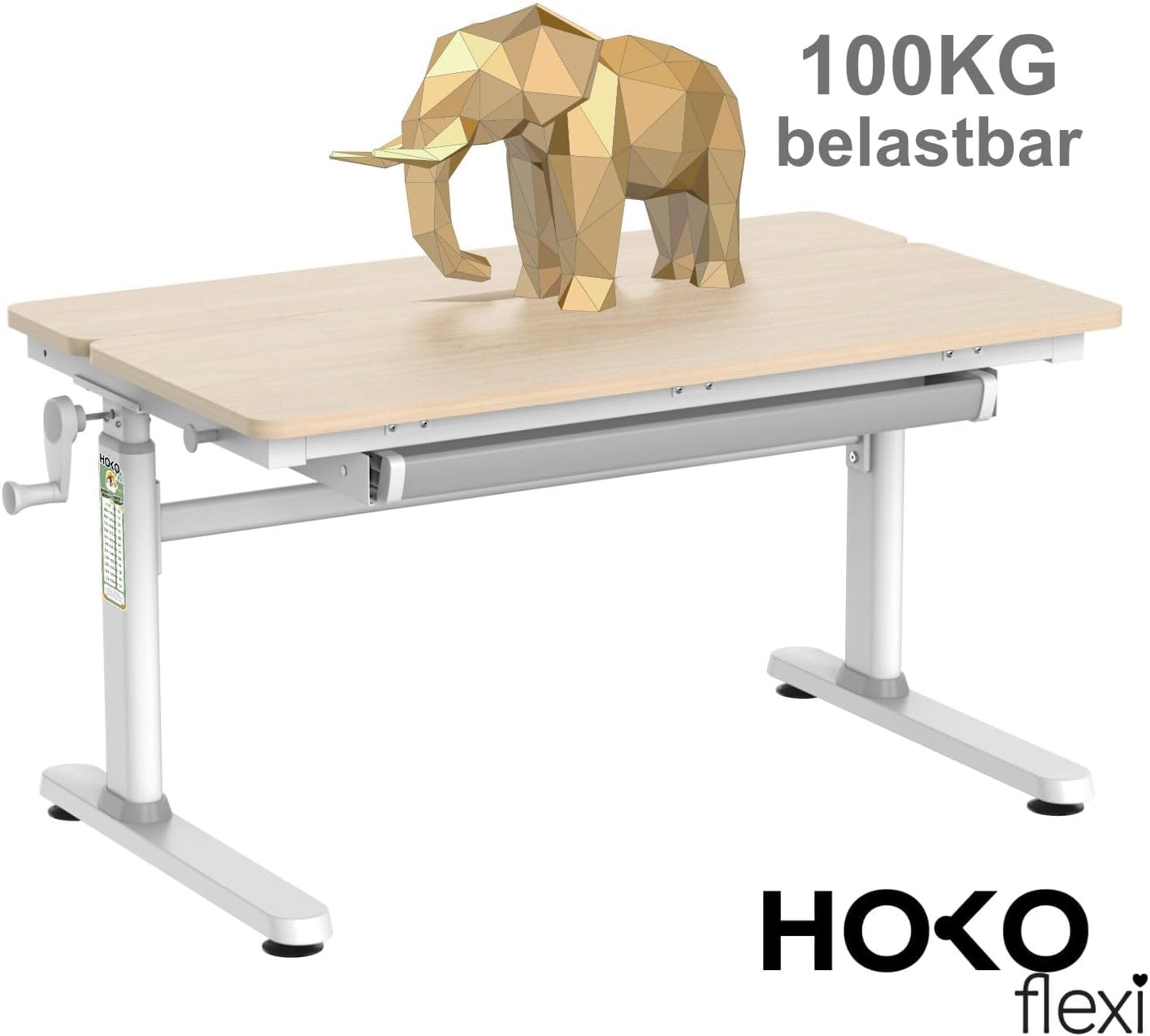 HOKO Schreibtisch Höhenverstellbar，Holz 100x60