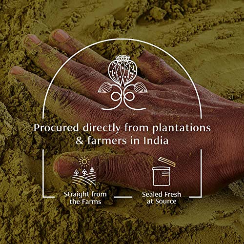 Image of VAHDAM, Garlic Granules (2.47oz) 100% Raw Granulated Garlic (Allium Sativum) from India | Non GMO, Gluten Free, Dried Garlic | Aromatic & Pungent | Direct from Source
