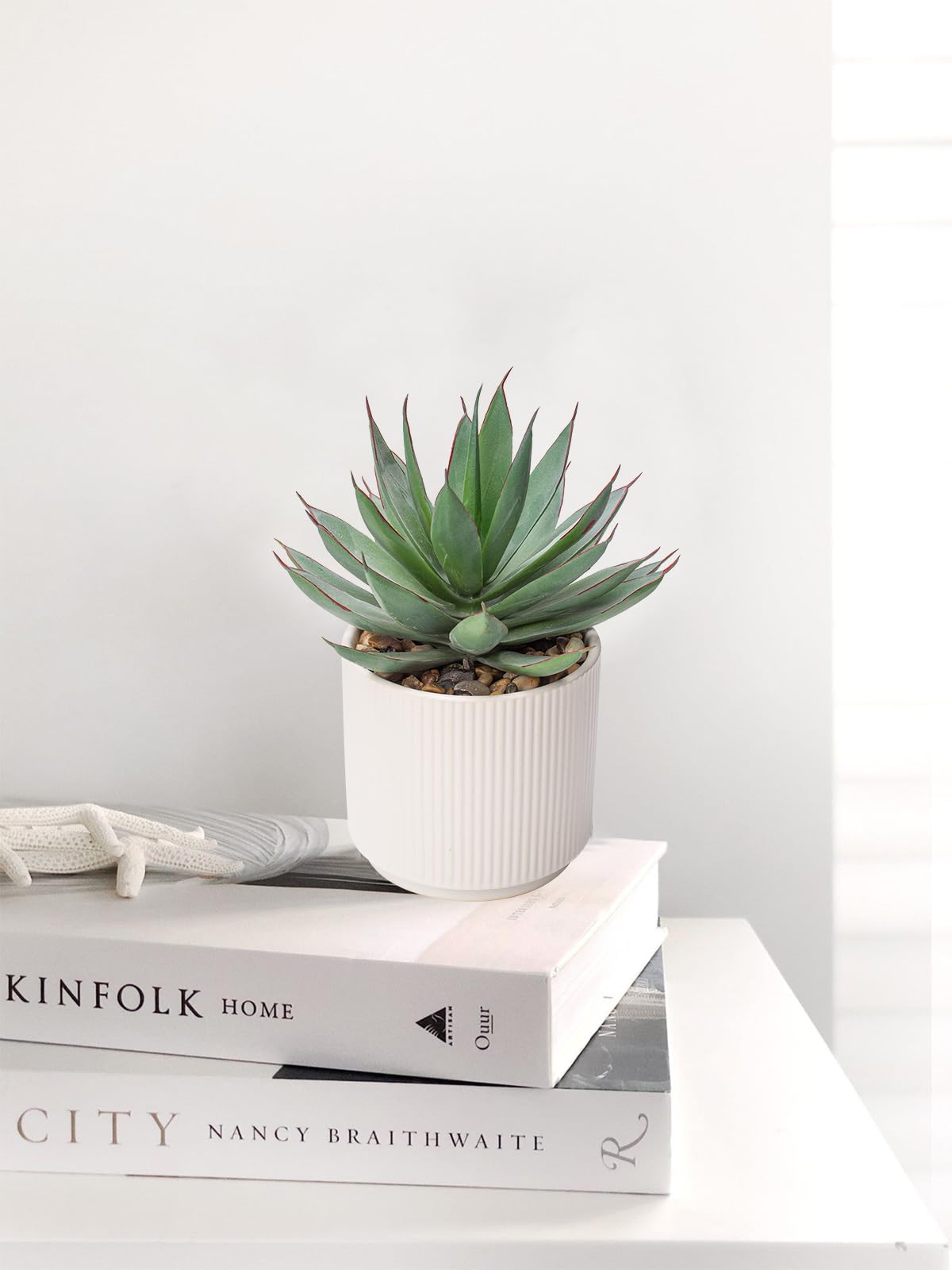 where to buy a pothos Pothos Silver Satin 6