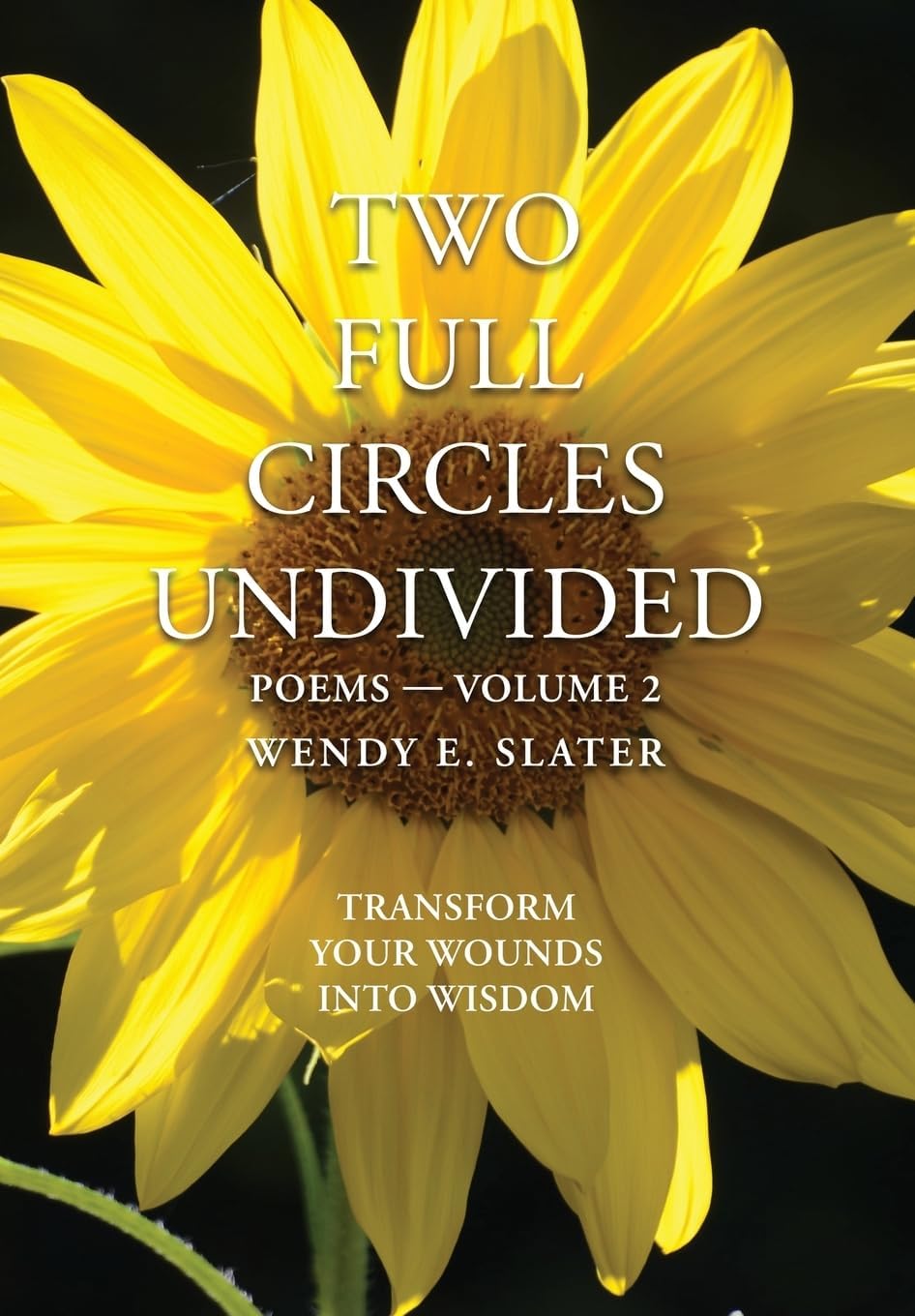 Two Full Circles Undivided: Poems-Volume 2 (The Traduka Wisdom Poetry Series)