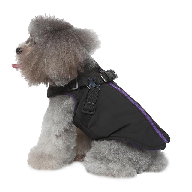 Foto 6 de 8 de Chaqueta cálida para mascotas
