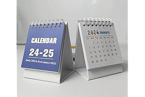 Baby Blues Desk Calendar 2024-2025