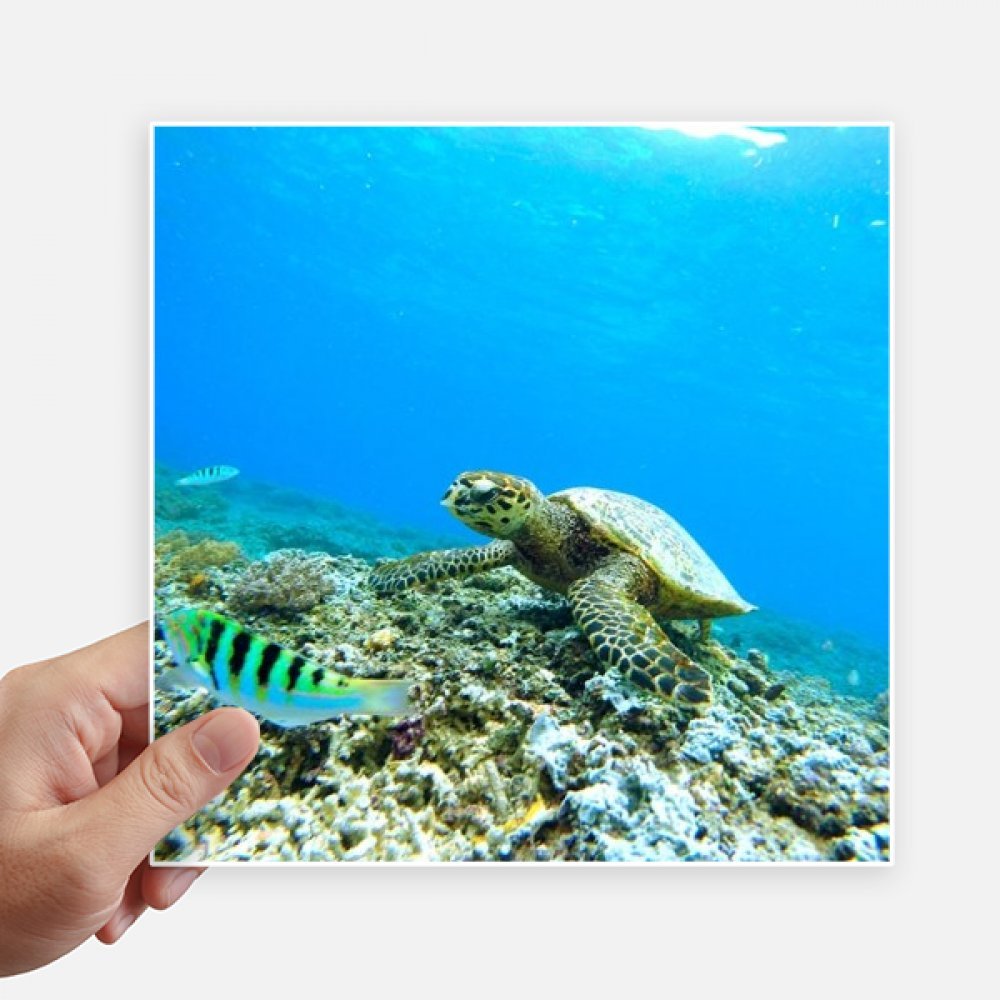 Tortue poisson nature photo autocollant pour valise ordinateur portable 4Pcs