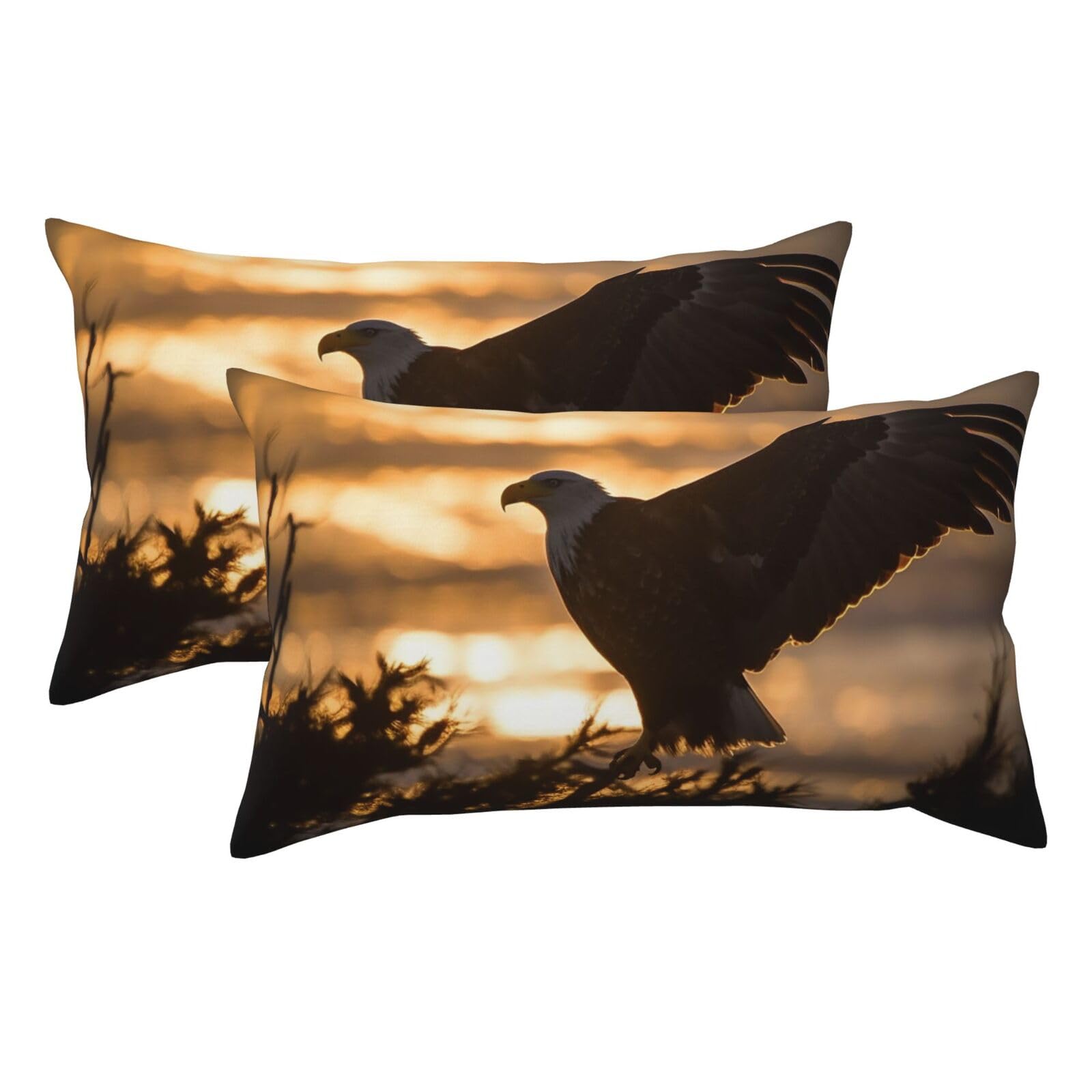 2 Pack King Pillow Cases with Hidden Zipper, Soft Breathable Pillow Covers for Hair and Skin, Backlit Eagle Pillowcases 20"x36" Bed Pillow Protectors Cover for Sleeping Gifts