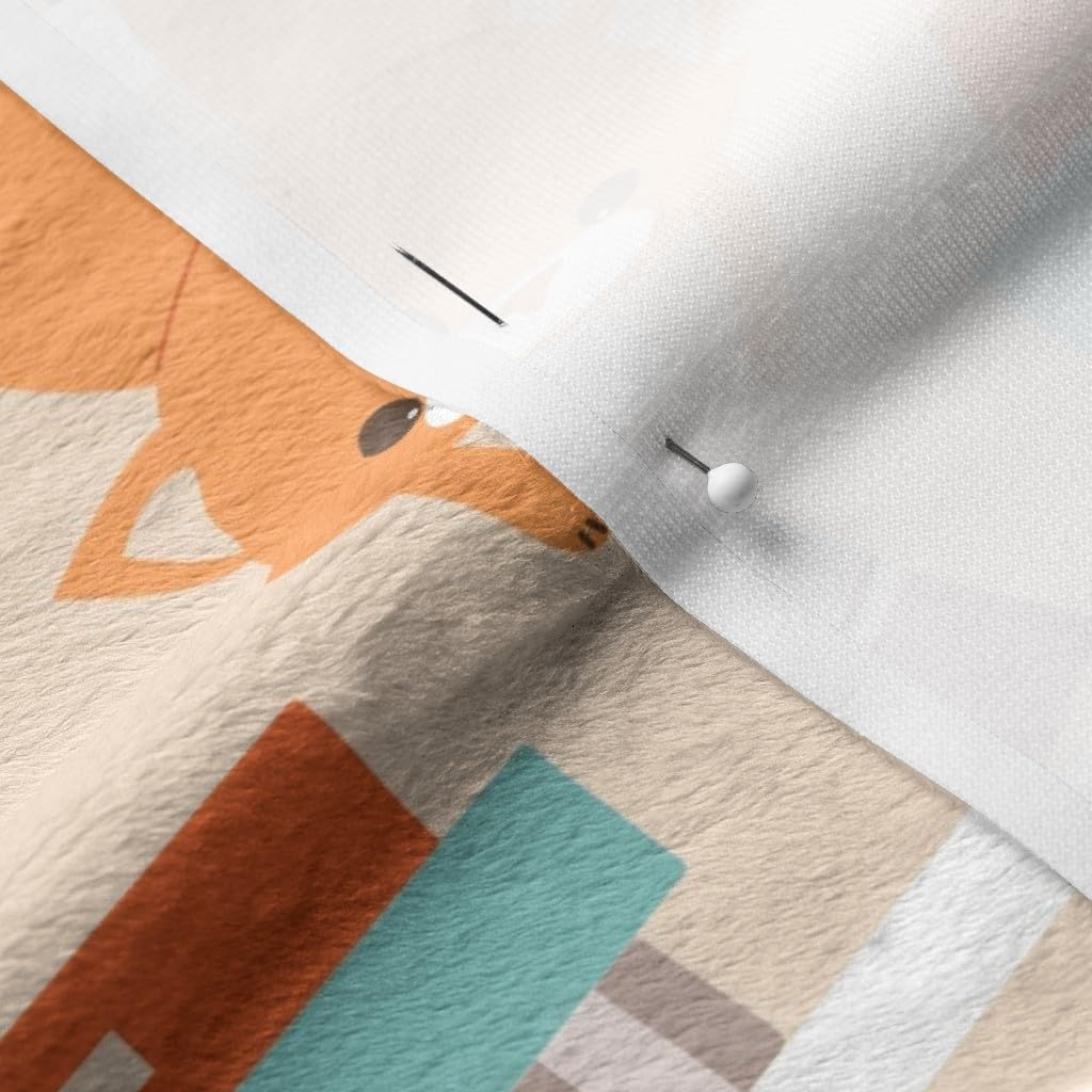 Spoonflower Fabric - Library Cats Cat Books Kitten Book Librarian Reading Kids Animals Printed on Minky Fabric by The Yard - Sewing Baby Blankets Quilt Backing Plush