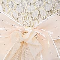 Vista 9 de Vestido de princesa de encaje para perros pequeños y pequeños extragrandes, color negro, talla L