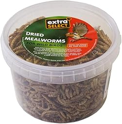Extra Select Dried Mealworms for Wild Birds: Protein Rich Wild Bird Food for Robins and Wildlife - Meal Worms for Garden Birds - 500 ml