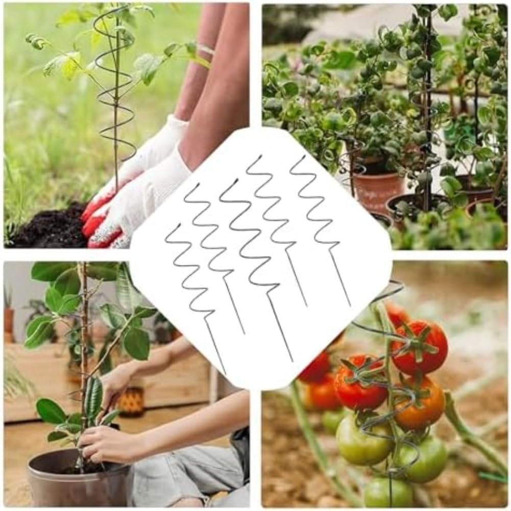 Support en spirale pour plantes grimpantes, 40 cm, petit piquet de jardin pour plantes grimpantes, support d'escalade pour fleurs, tomates, vignes, culture intérieure et extérieure (B)