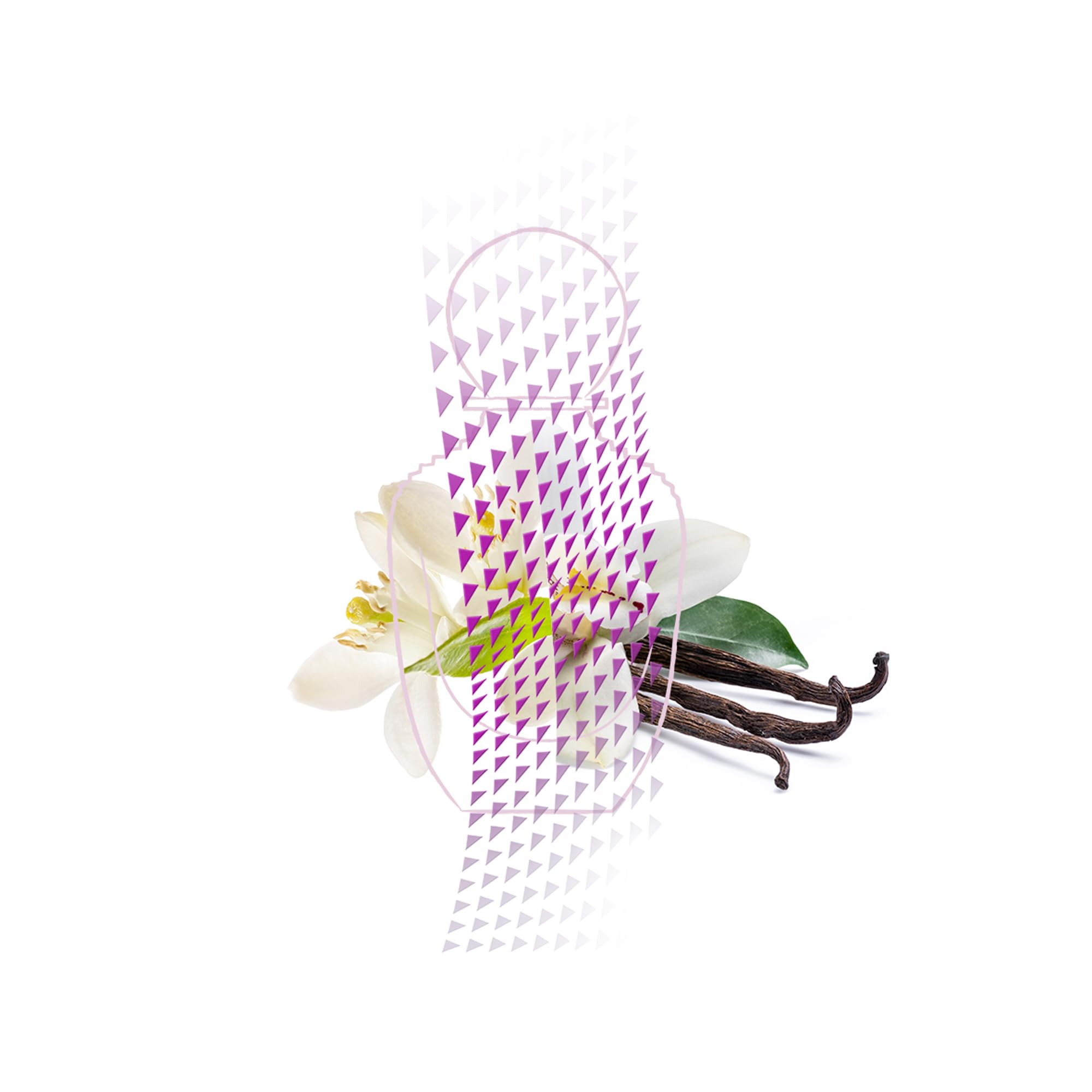 Salvatore Ferragamo Amo Ferragamo Flowerful EDT Spray Women