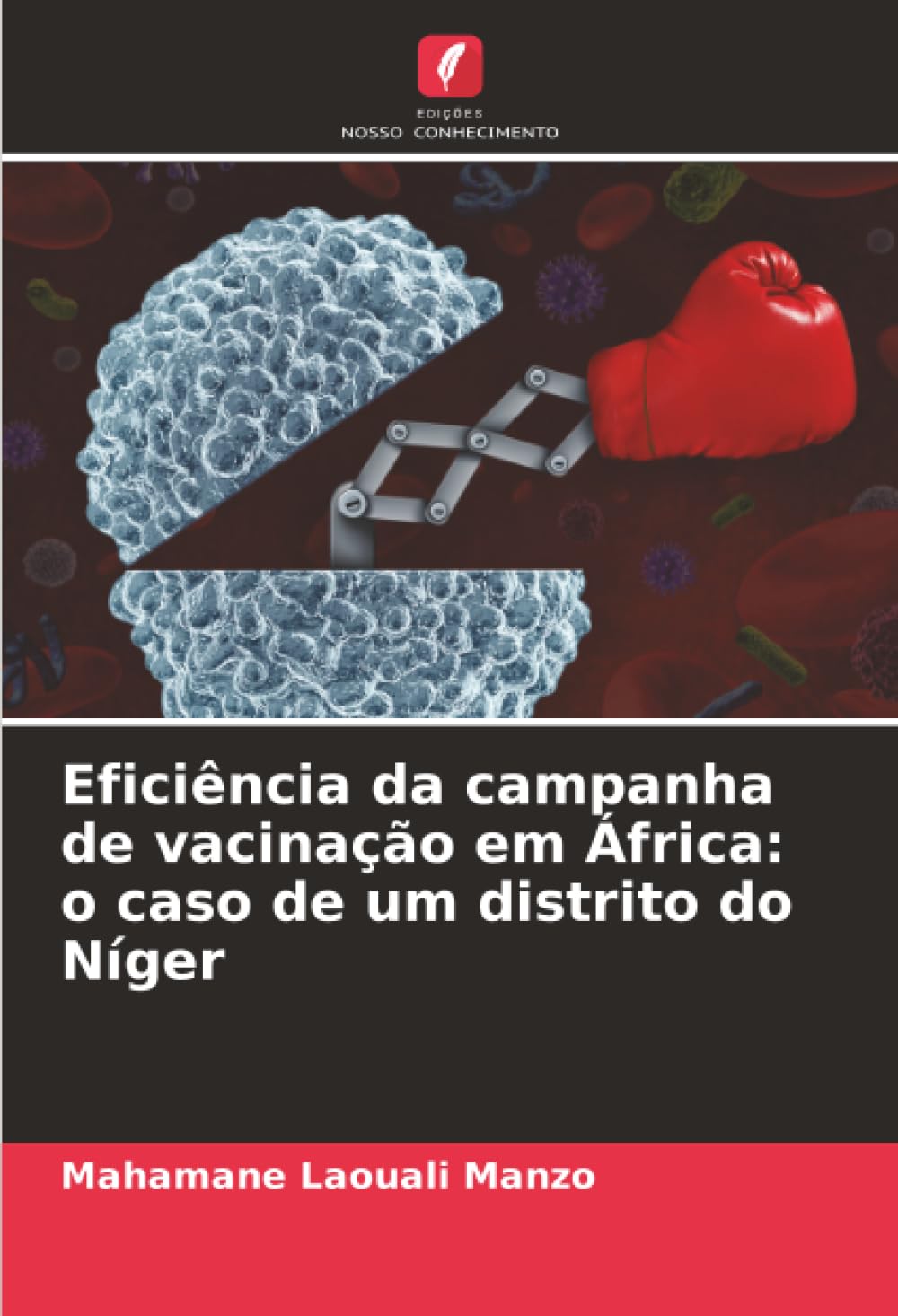 Eficiência da campanha de vacinação em África: o caso de um distrito do Níger