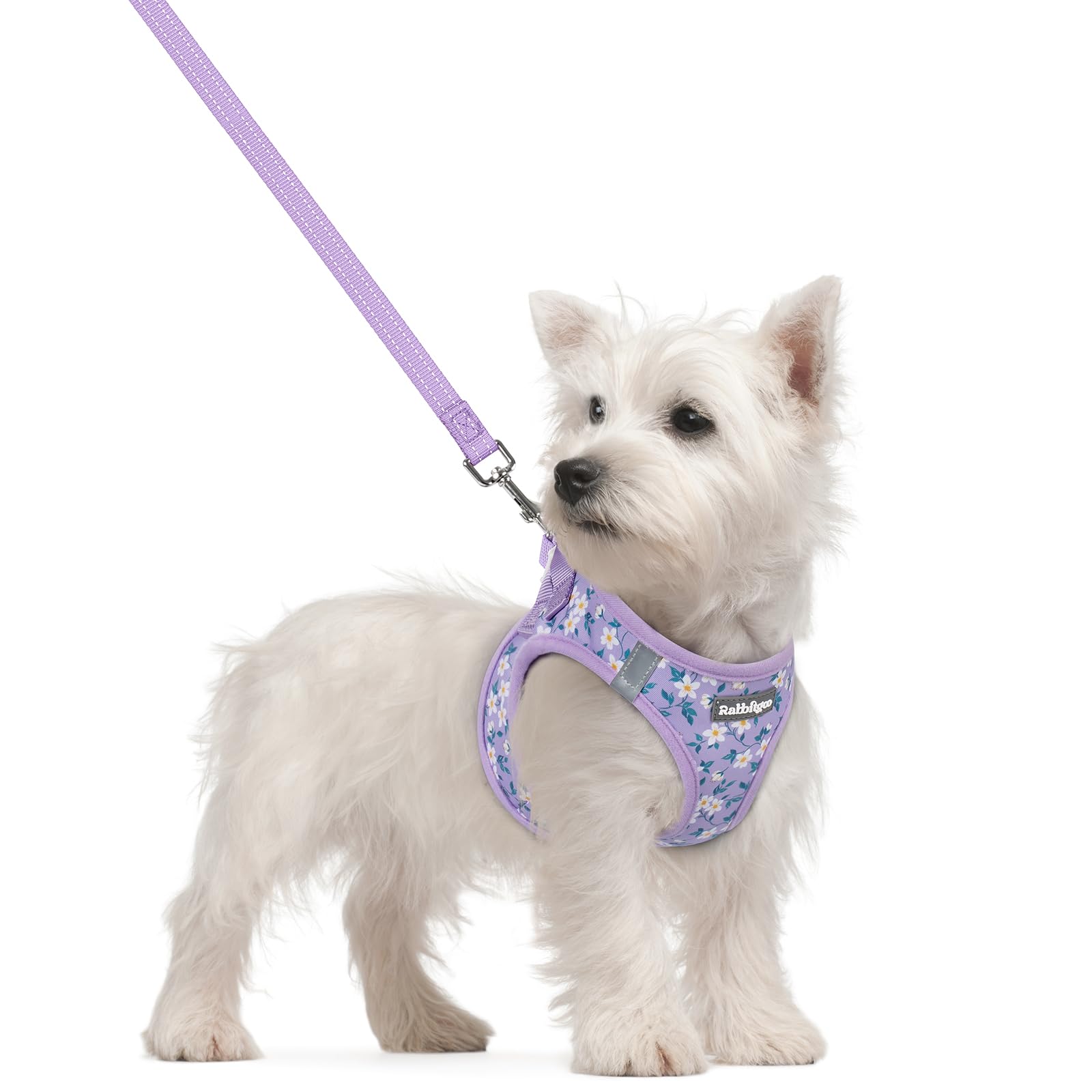 rabbitgoo Dog Harness Small Sized and Leash Set, Step-in Puppy Pet Vest