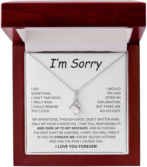 "I'm Sorry" Necklace with "I Take Full Responsibility" Message Card