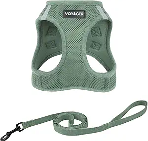 Voyager Step-in Air Cat Harness & Leash Set - Moss Green, XS