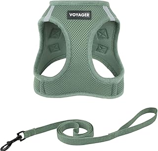 Voyager Step-in Air Cat Harness and Leash Set in All Weather Breathable Mesh