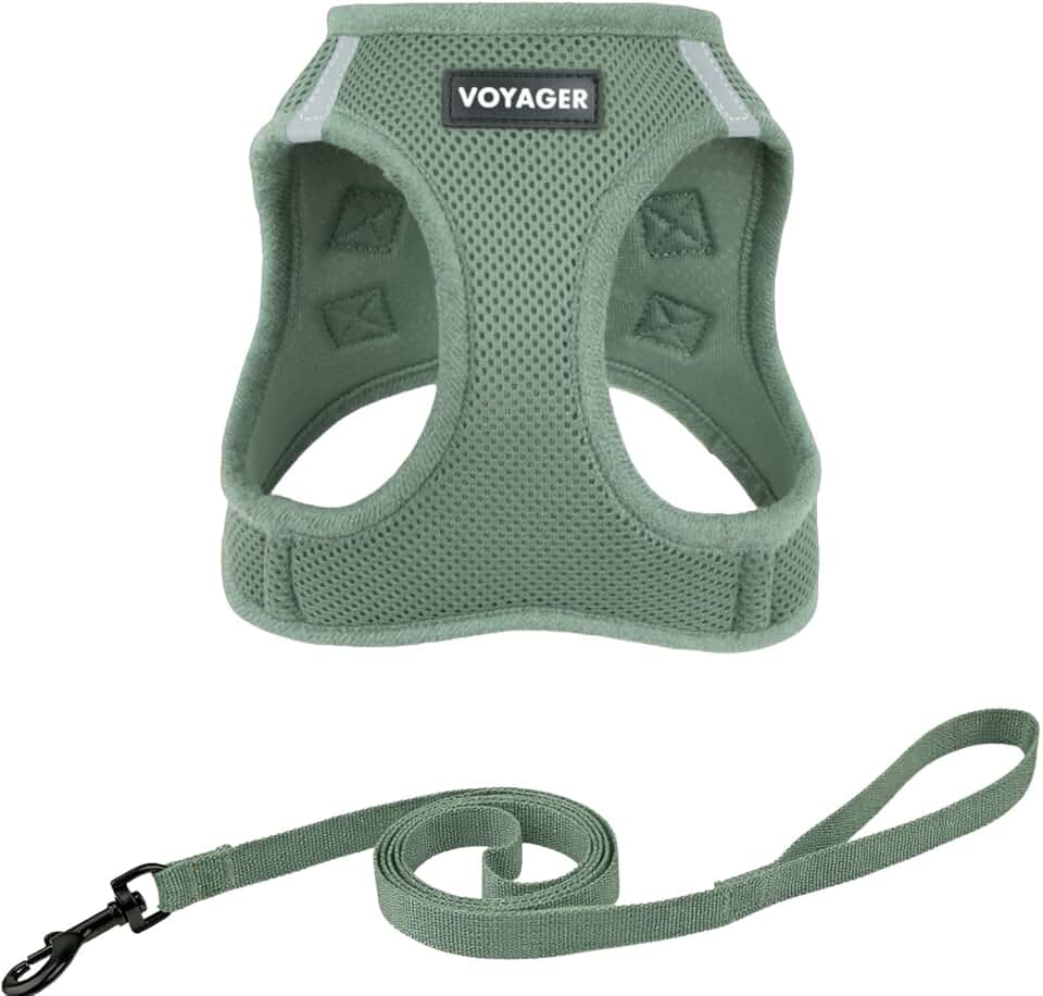 Voyager Step-in Air Cat Harness &amp; Leash Set - Moss Green, XS | 13.5 - 15" in Chest, Reflective Bands, All Weather Breathable Air Mesh, Cats Compatible, Fast Drying
