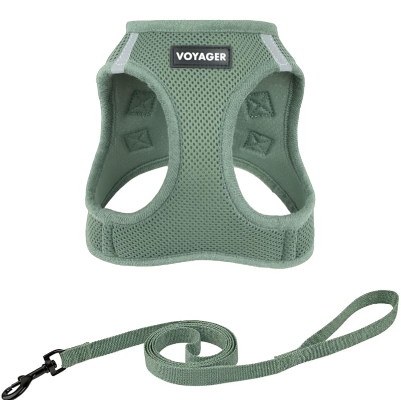 Peitoral com Guia para Gatos Voyager Step-In Air em Air Mesh Best Pet Supplies – XXXS, Moss Green
