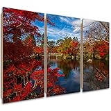 DECORACIÓN: Nuestros cuadros decorativos están hechos a mano en Europa. Decora tu habitación, salón, dormitorio infantil o juvenil, cuarto de juegos, cocina, baño, recibidor, despacho u oficina, y disfruta de tus Panel decorativo cada día. En nuestra colección de cuadros encontrarás una gran variedad de temas como: playas, arte callejero, naturaleza, animales, paisajes, plantas, comidas, bebidas, decoración gamer, decoración de anime, manga, fantasía y muchos más.