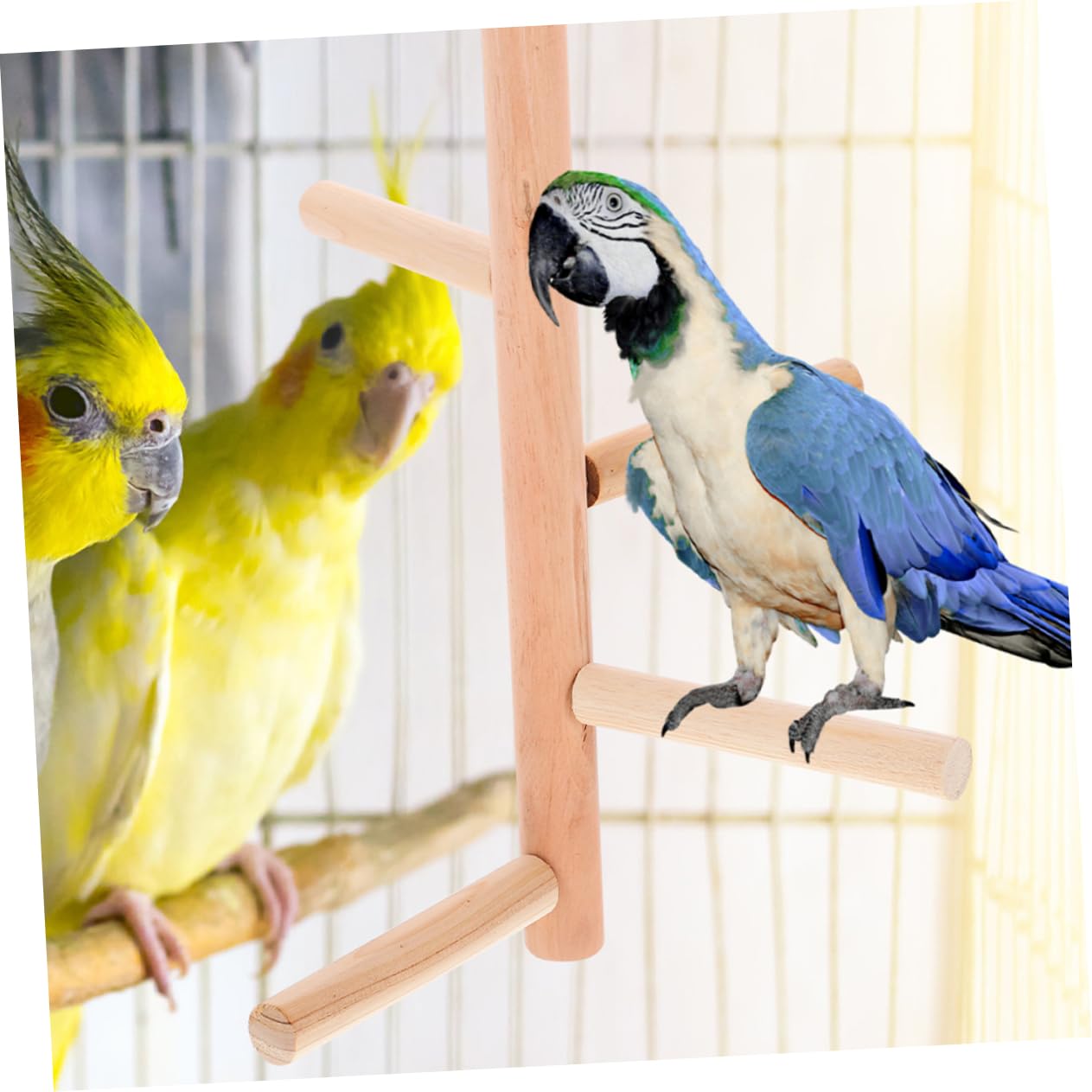 Yardwe 10 Piezas Pájaro De Juguete Jaula De Pájaros Perchas para Jaulas De Pájaros Accesorios para Percha De a para Periquitos a De Pájaro Cacatúa Juguetes De Madera