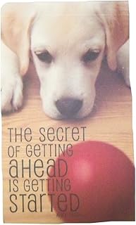 Eccolo World Traveler Top Flipping Journal or Memo Pad (The Secret of Getting Ahead is Getting Started; 3