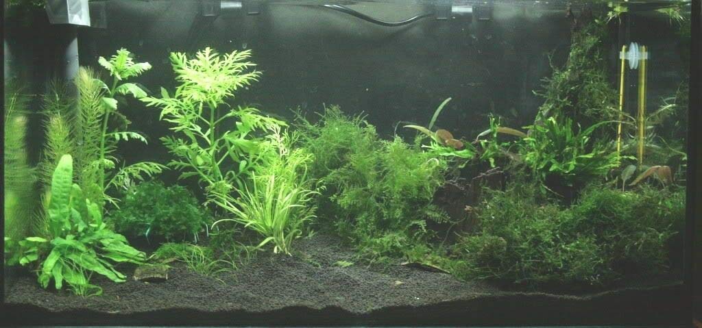 View 2