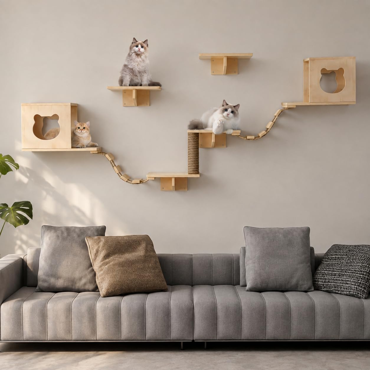 Kletterwand Katzen Set aus Kiefernholz Katzenwandmöbel Wandregale