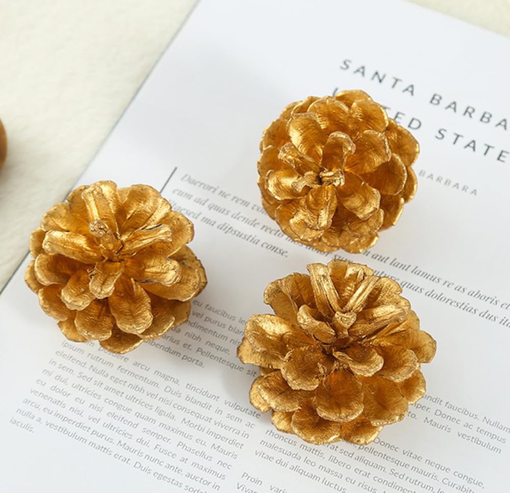 24 Stück 9-12cm Weihnachts Kiefernkegel,Pine Cones Dekoration Zapfen,Natürliche Tannenzapfen Kiefernzapfen für Adventskranz Tischdeko Christbaumschmuck Winterdekoration,Silber A