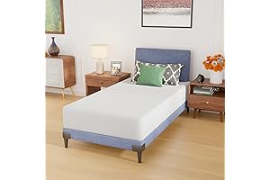 PayLessHere Twin Mattresses 10 Inch Twin Size Mattresses