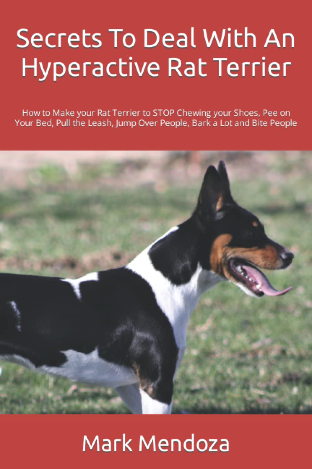 How Can I Make My Rat Terrier Bark