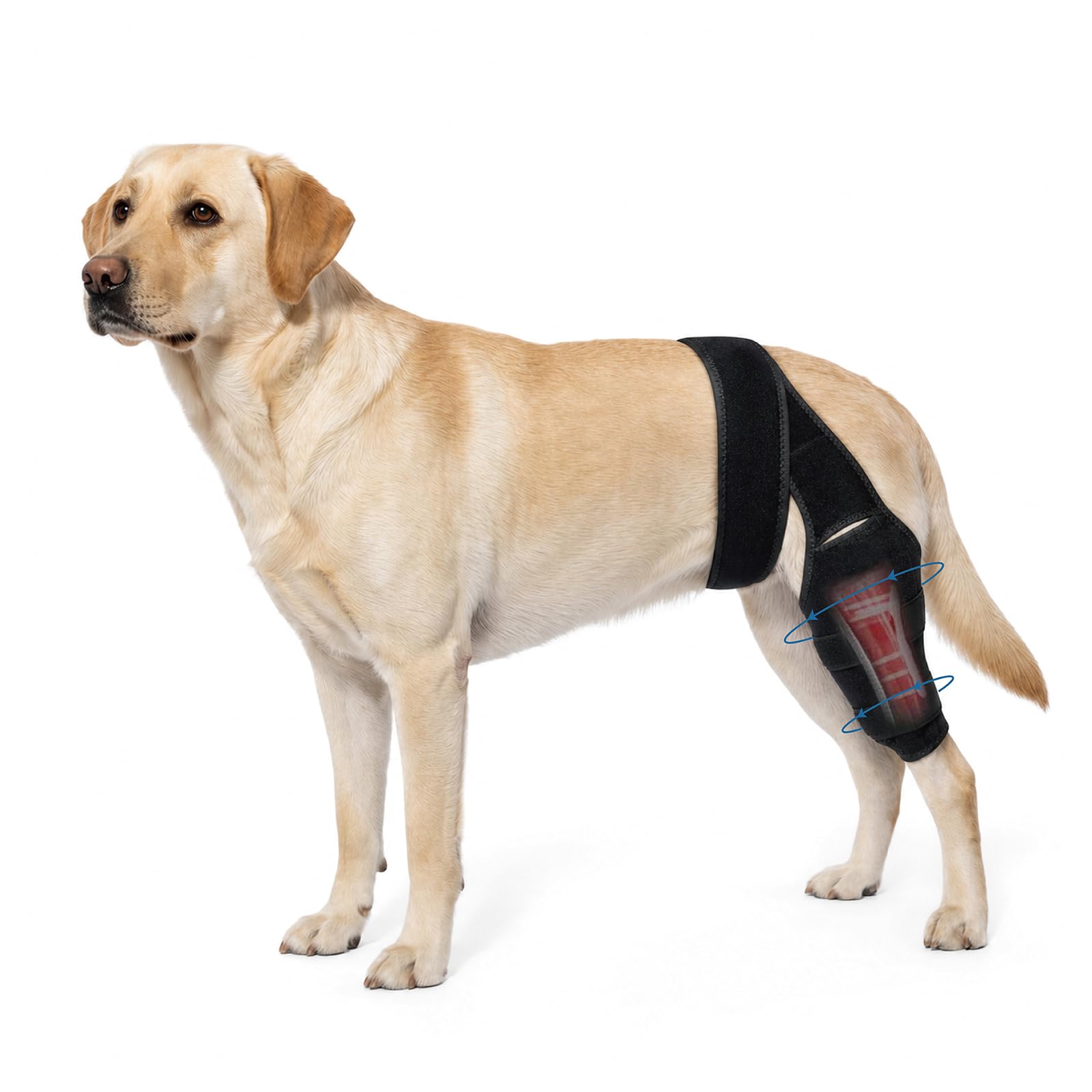 UgMoucl Dog Knee Brace Size M