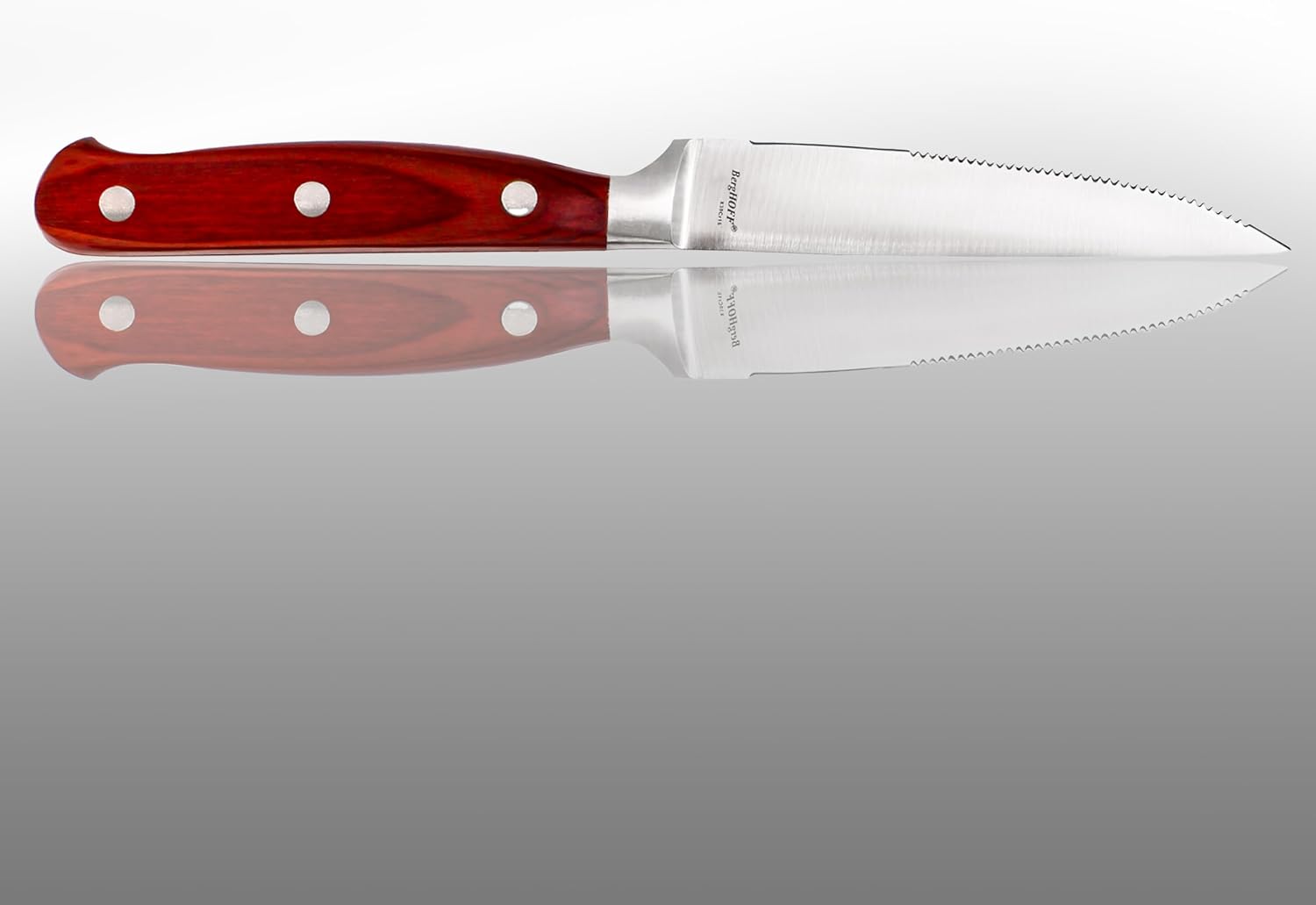 Berghoff Pakka 18/10 Stainless Steel 9pc Steak Knives Carving Set Aluminum Case Corrosion Resistant Sharp & Well Balanced Polish Surface Finish