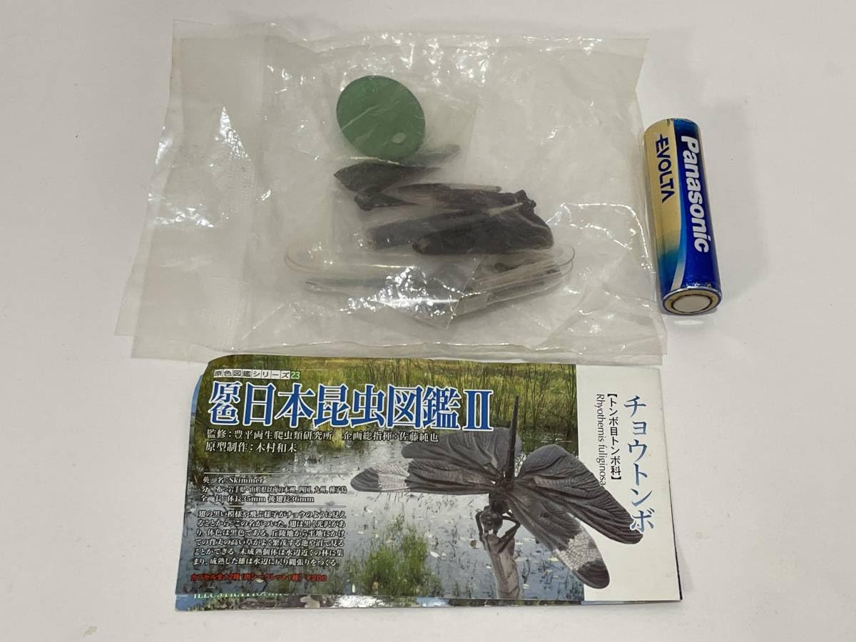 Amazon.co.jp: 原色図鑑シリーズ23 原色日本昆虫図鑑Ⅱ チョウトンボ 